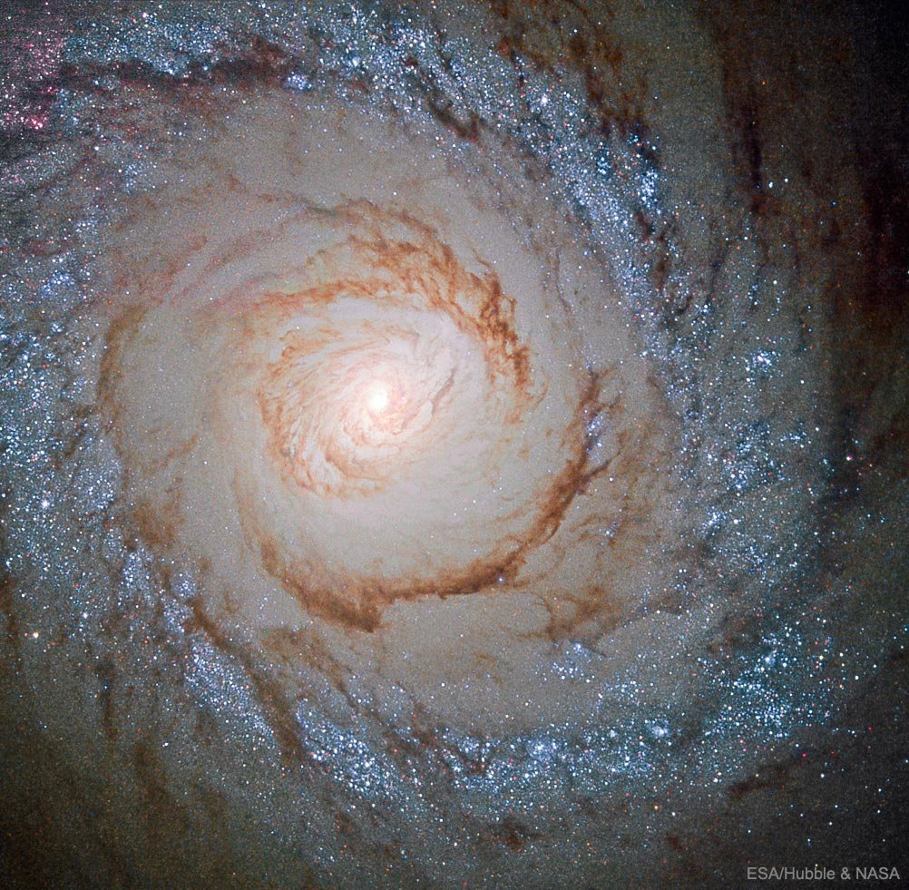 M94. Galaxia Ojo de Cocodrilo